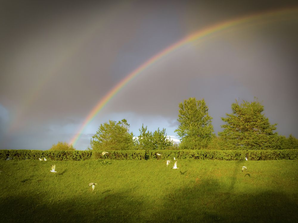 Photograph by Ekaterina Fadeeva