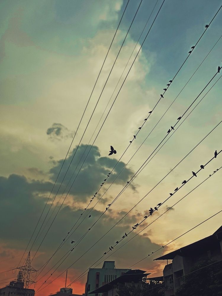 Фотография автора Monu Lalji Prajapati