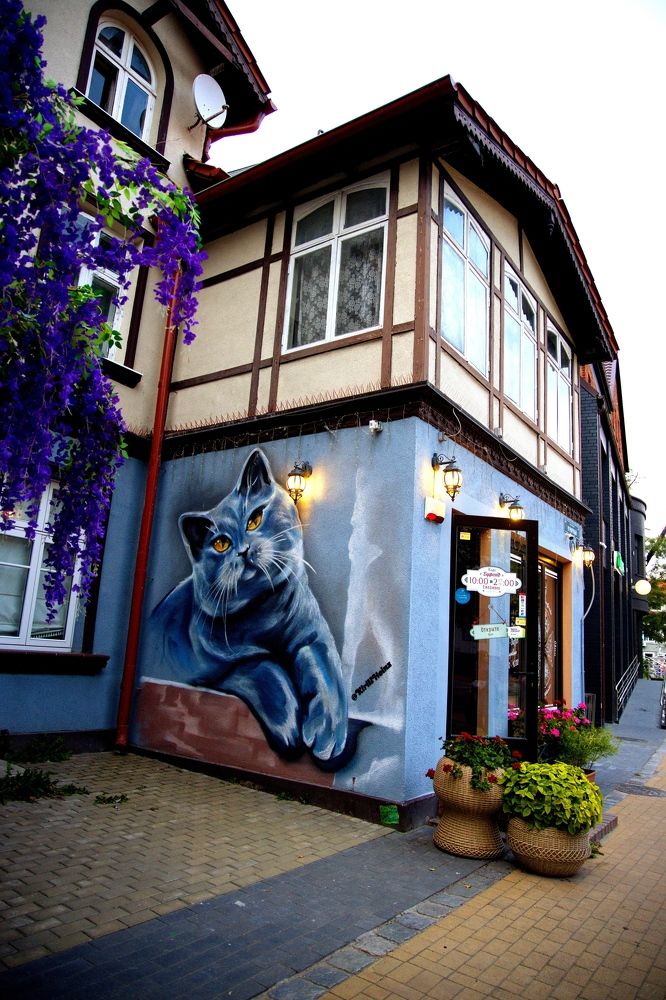 Photograph by Екатерина