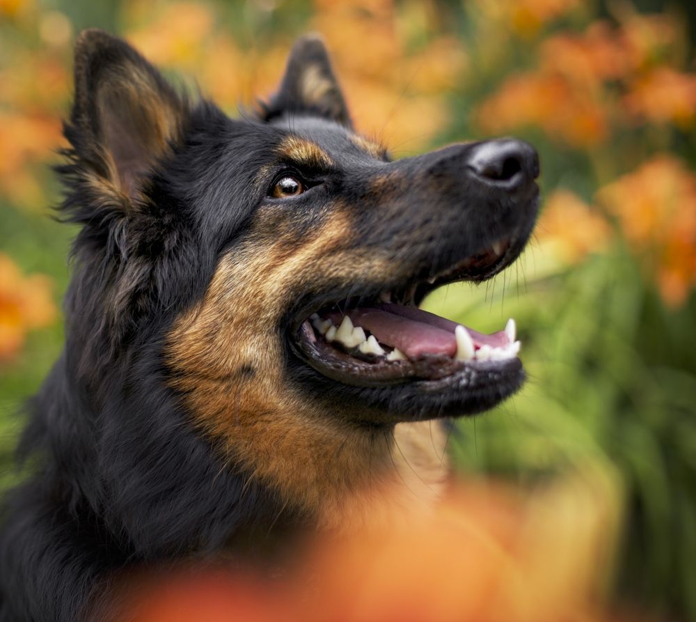 Photograph by Monika Maciejewska