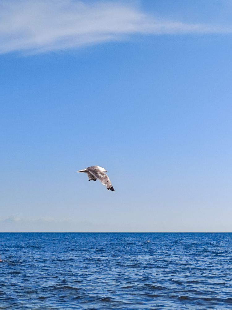 Фотография автора Юлия Гантимурова