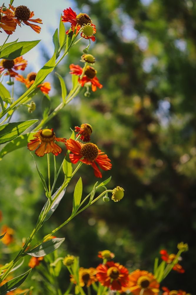 Фотография автора Юлия Гантимурова