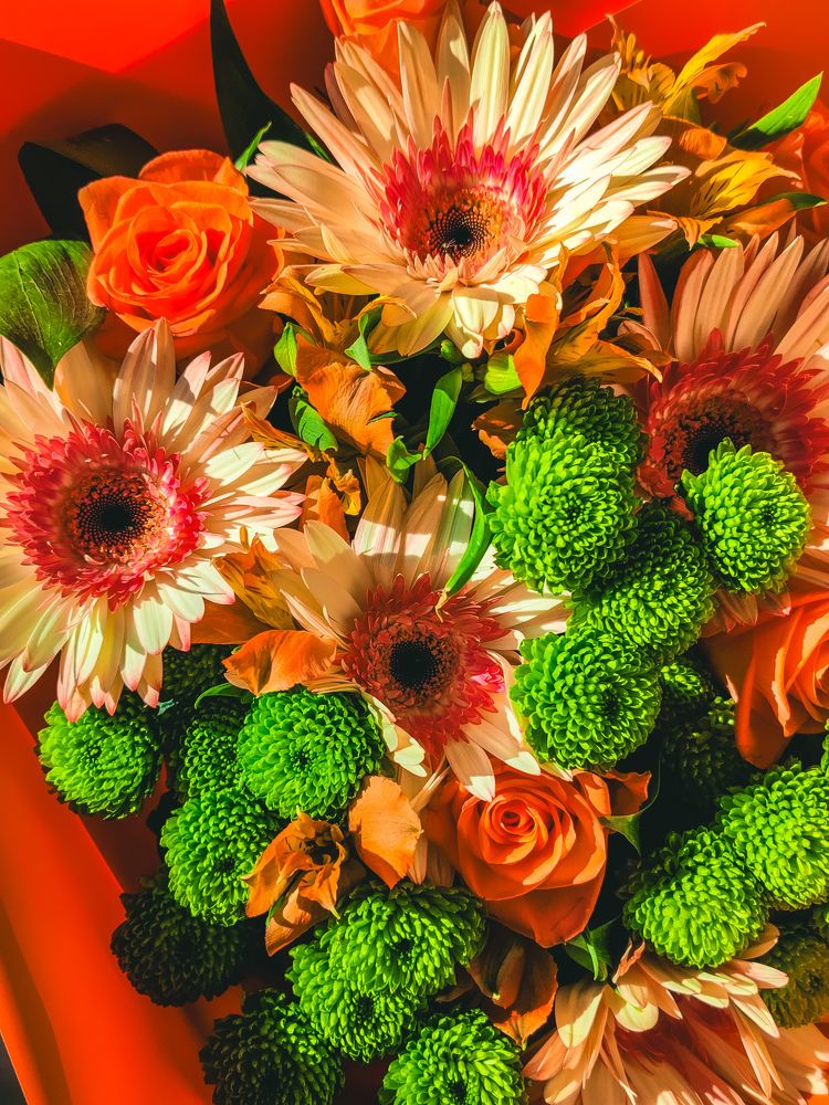 Фотография автора Юлия Гантимурова