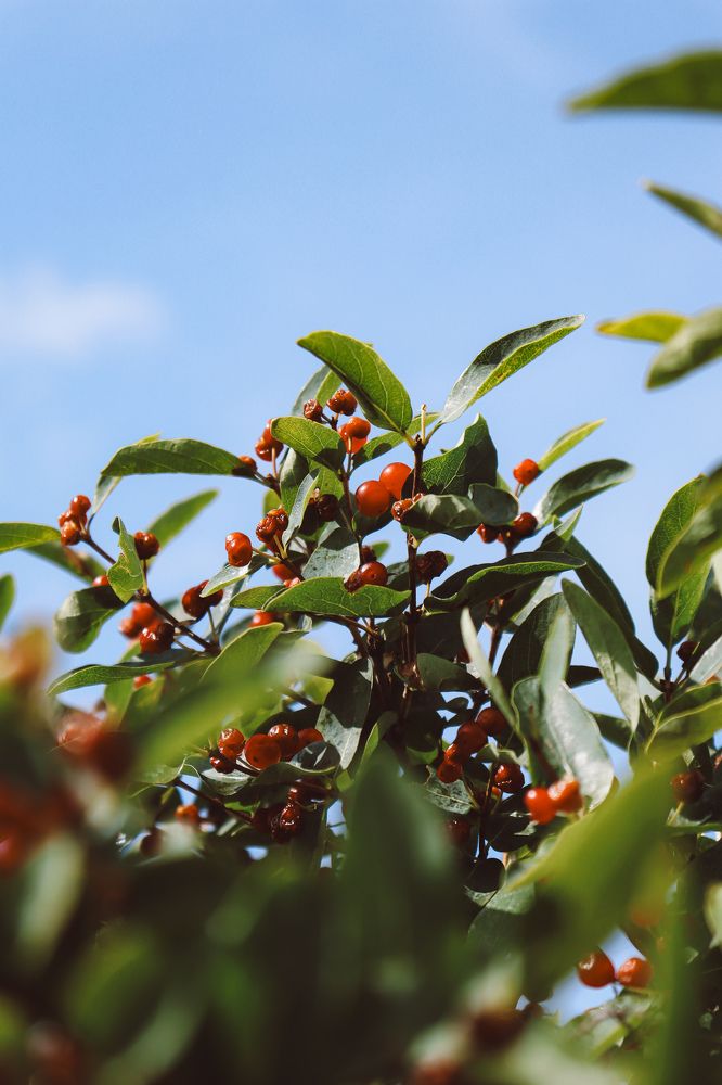 Фотография автора Юлия Гантимурова