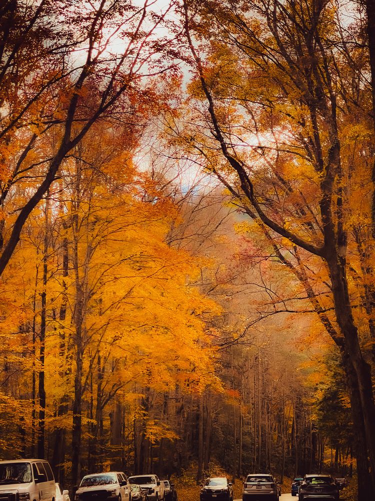 Photograph by Tyler Dewees