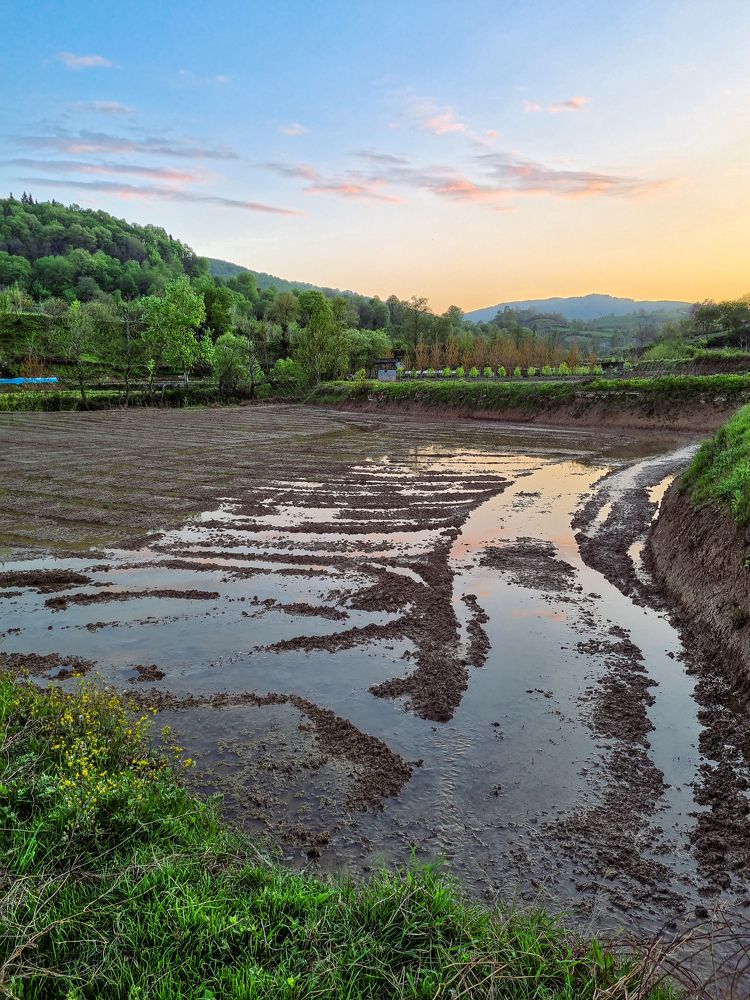 Фотография автора Nima Nezafat Yazdi