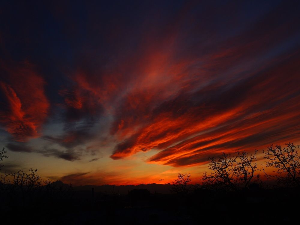 Photograph by Тимур Хохоев