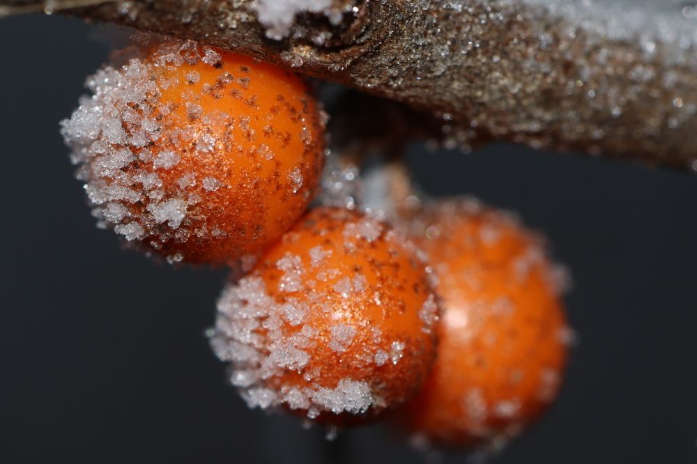 Photograph by Илья Кудинов