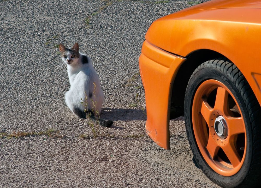 Photograph by Alexandr Makarenko