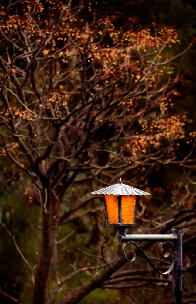 Photograph by Alexandr Makarenko