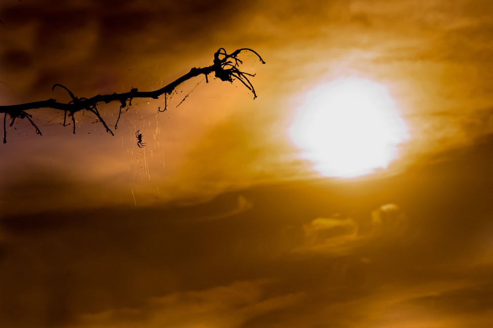 Фотография автора Angela Miller