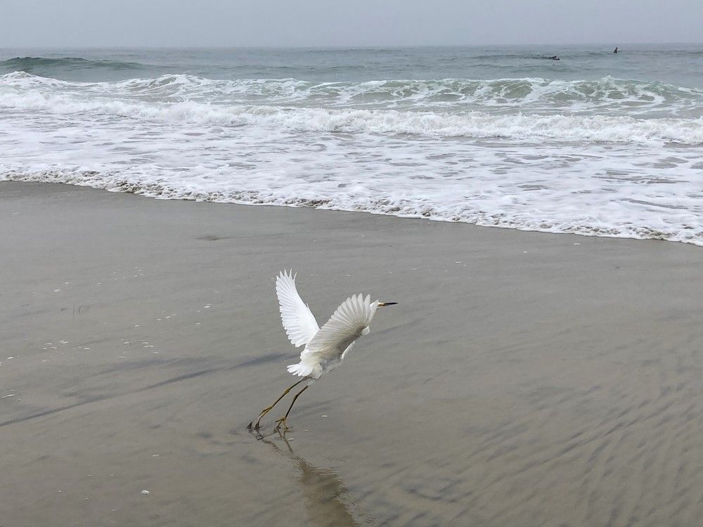 Фотография автора Елена