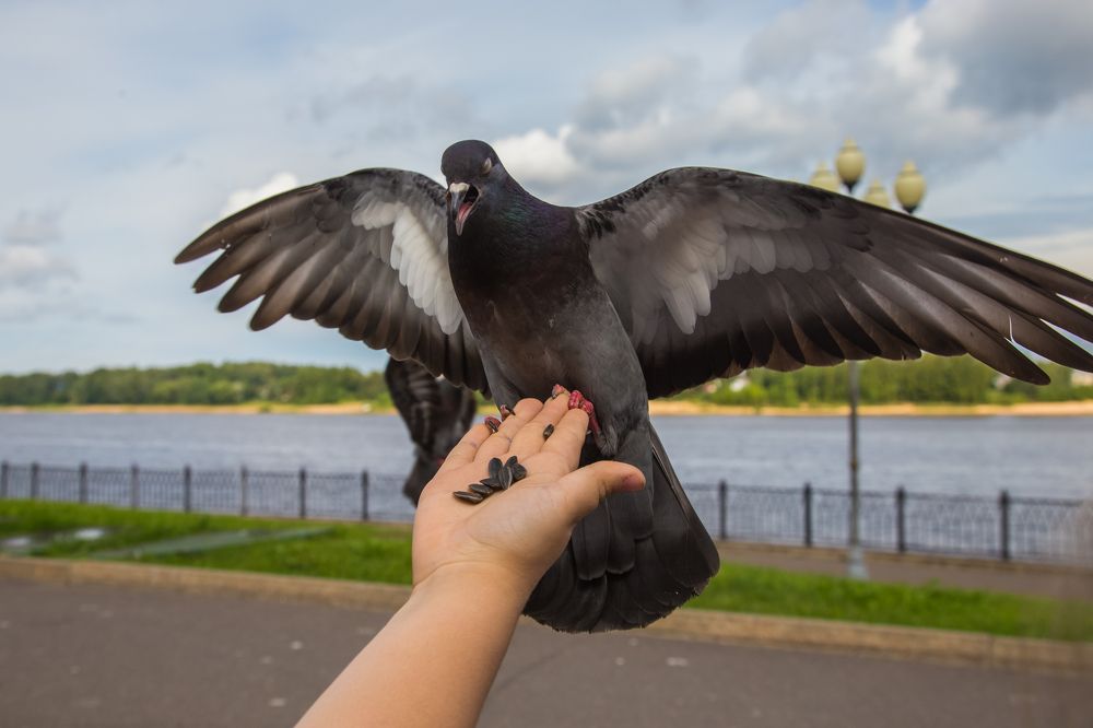 Photograph by Дмитрий Пасынков