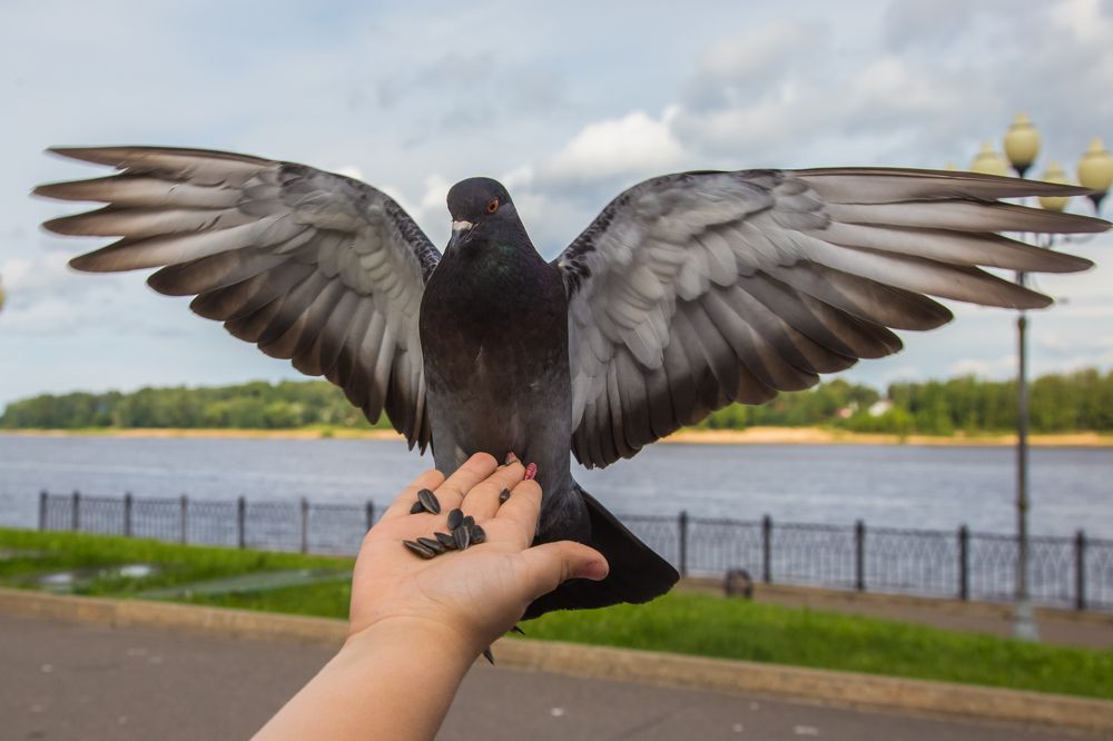 Photograph by Дмитрий Пасынков