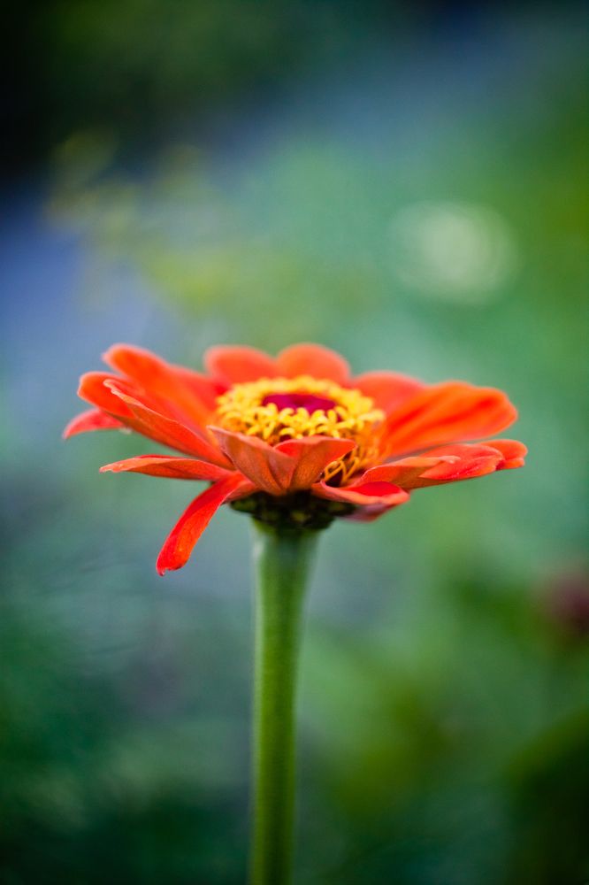 Photograph by Олег Терешкин