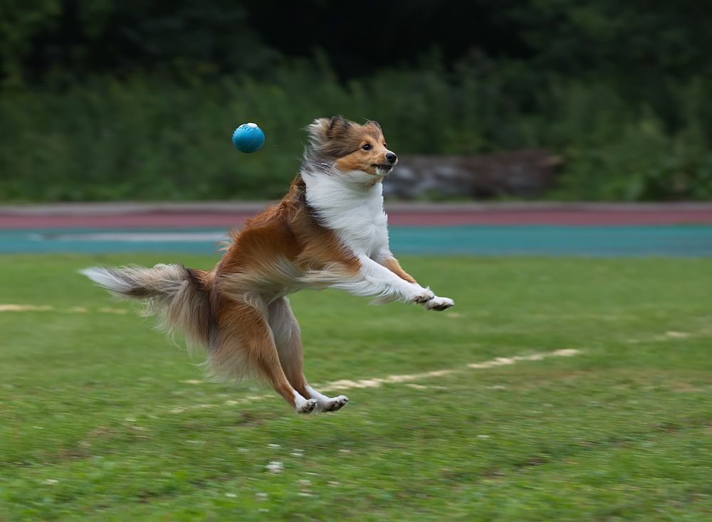 Photograph by Анатолий Васильев