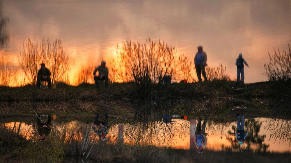 Photograph by Александр Козлов