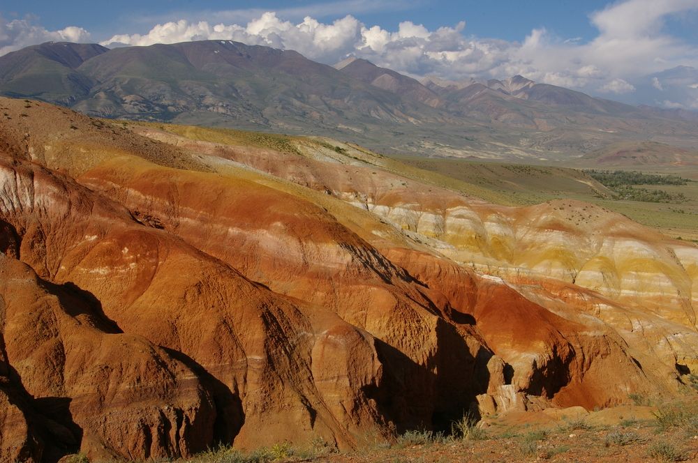 Photograph by Елена Алешкевич