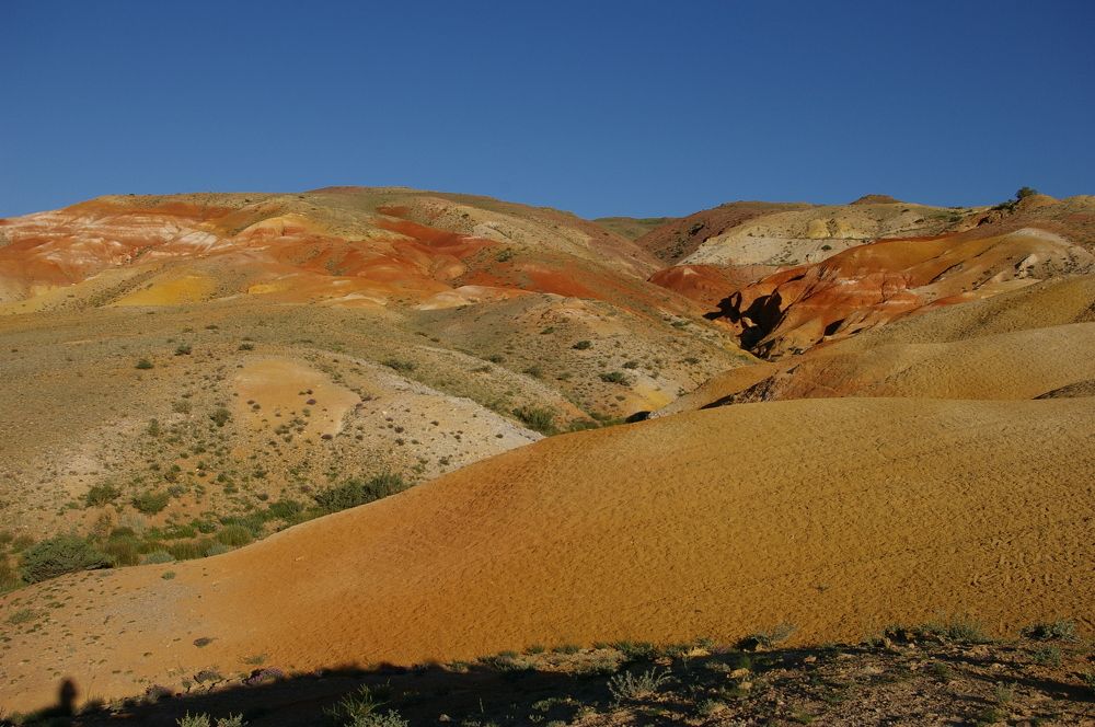 Photograph by Елена Алешкевич