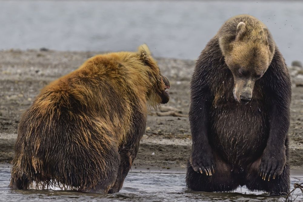 Я больше не буду!