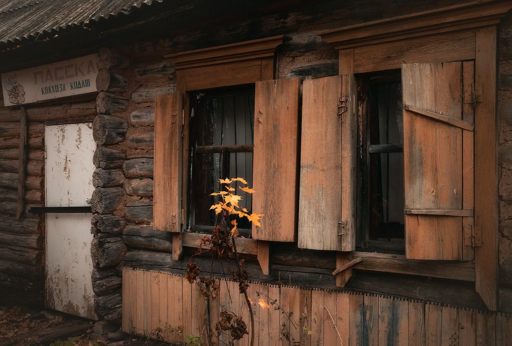 Часов и дней неуловимый бег...