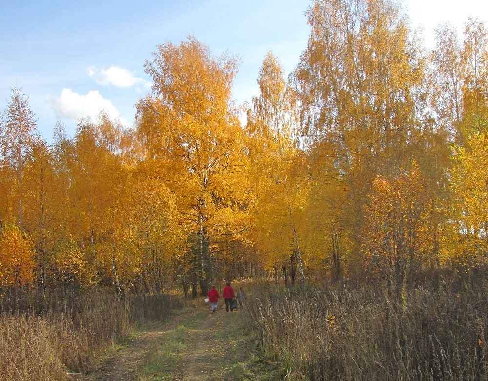 Photograph by Михаил Попов