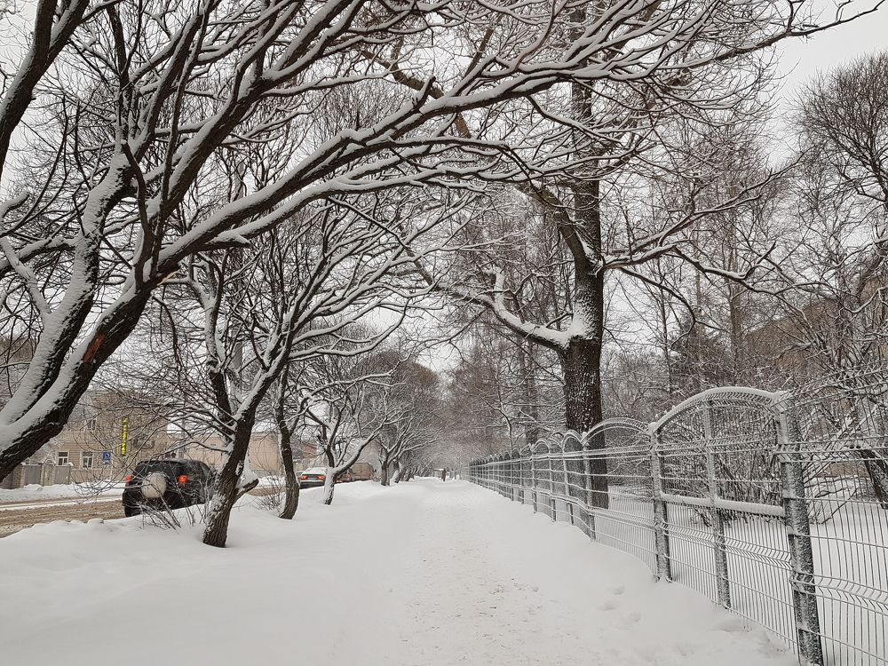 Photograph by Марина Стародуб