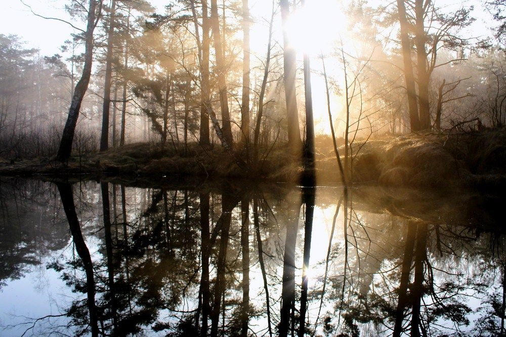 Photograph by 