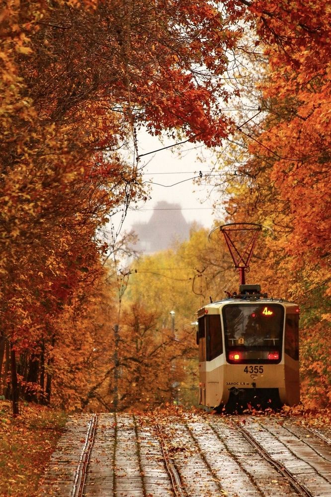 Photograph by Светлана Долгих