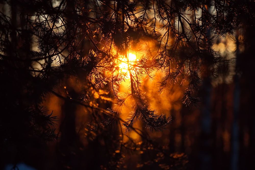 Photograph by Олег Раков