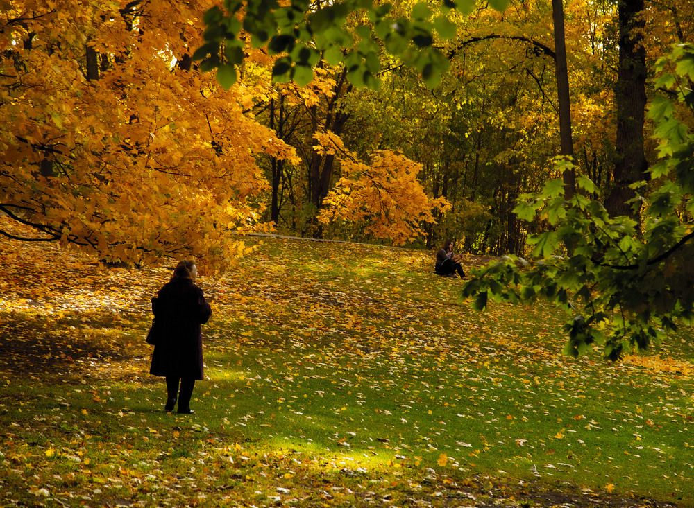 Photograph by Олег Раков