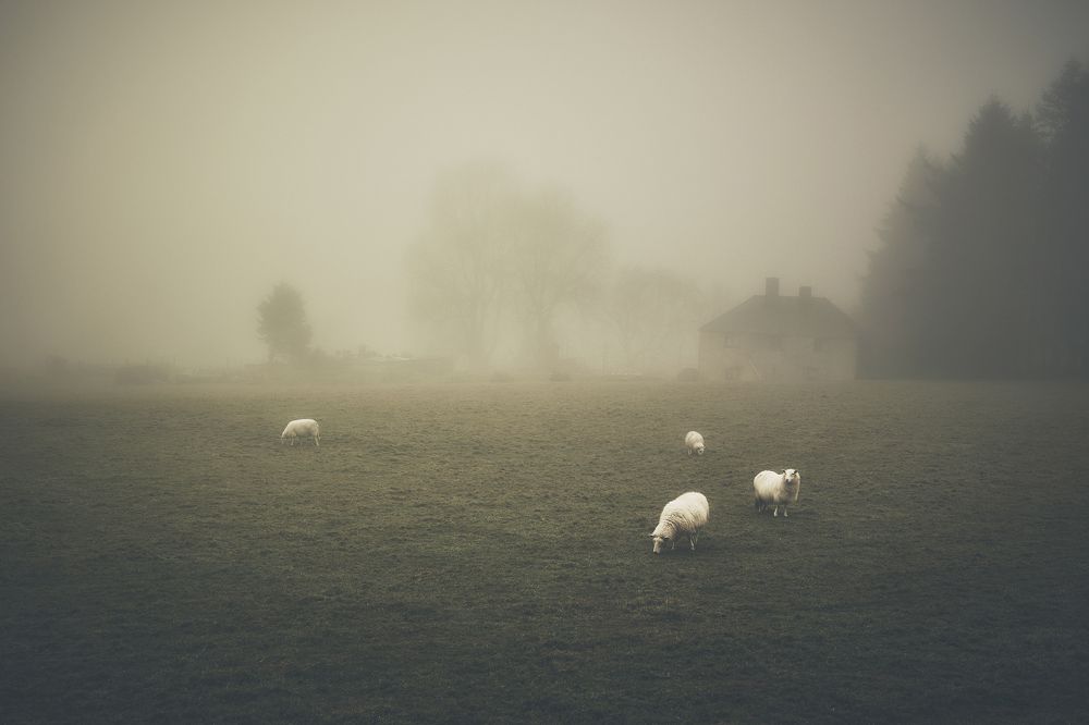 Фотография автора Kris Vasilev