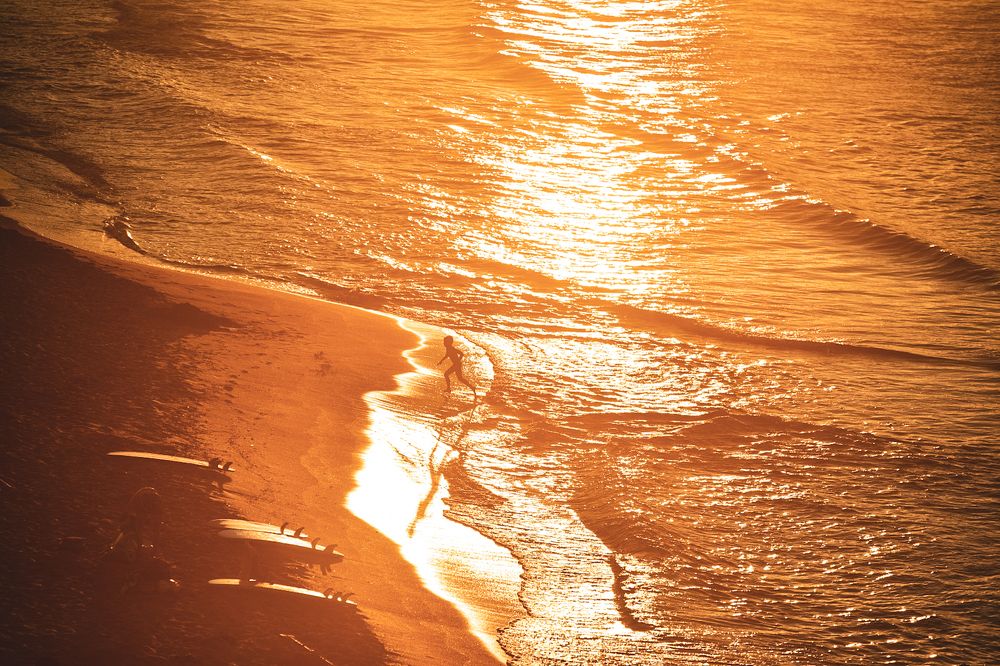 Photograph by Elena Koleva