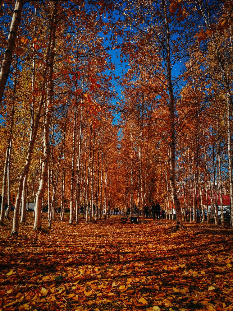 Природное золото