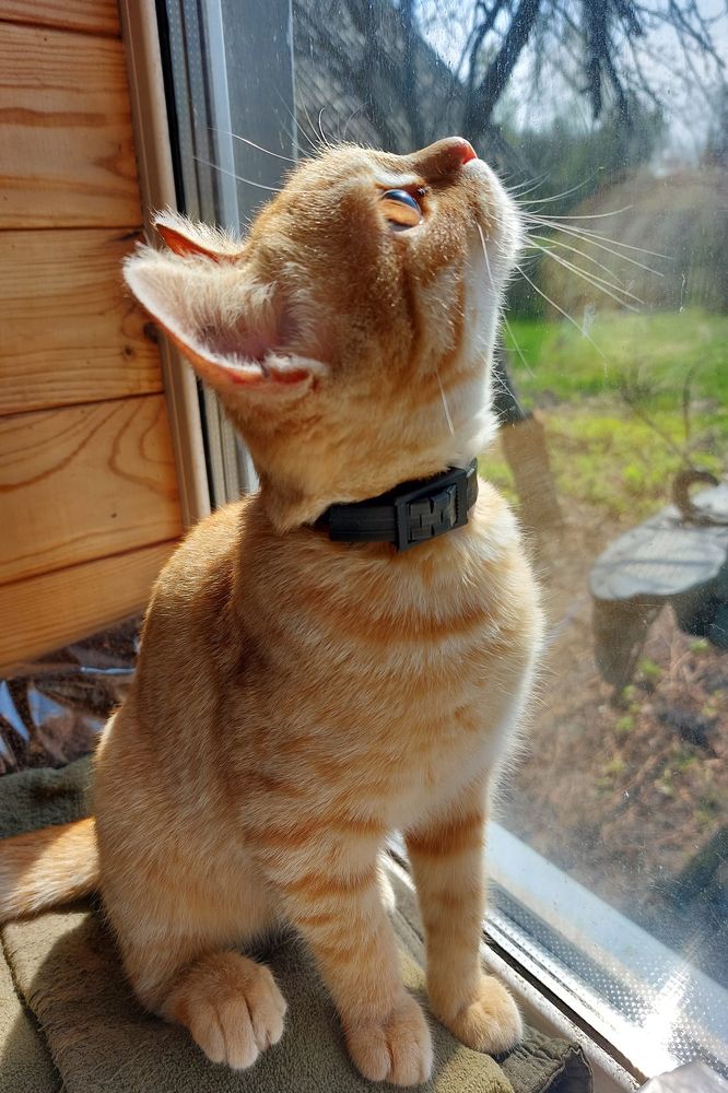 Photograph by Олена Лукашевич