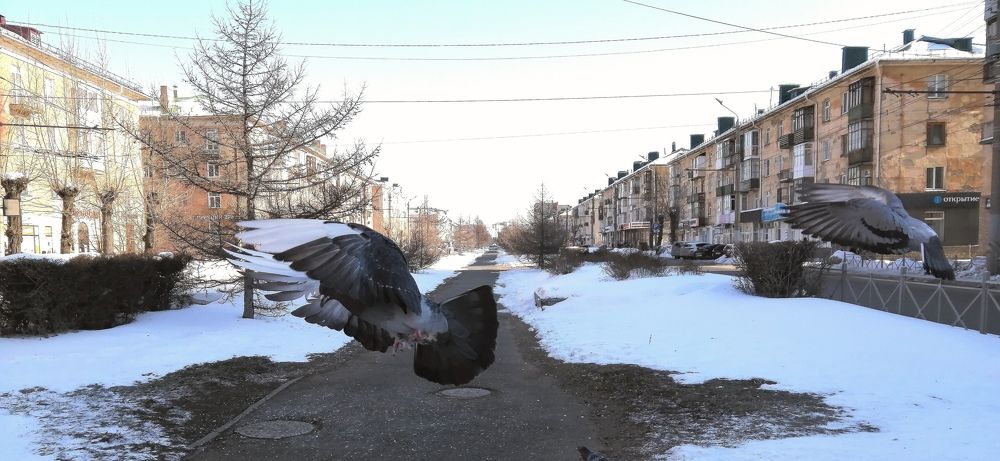 Photograph by Andrey