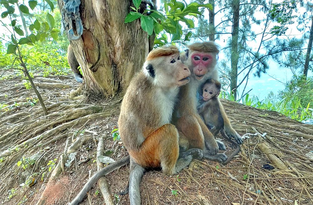 Крутой семейный разговор