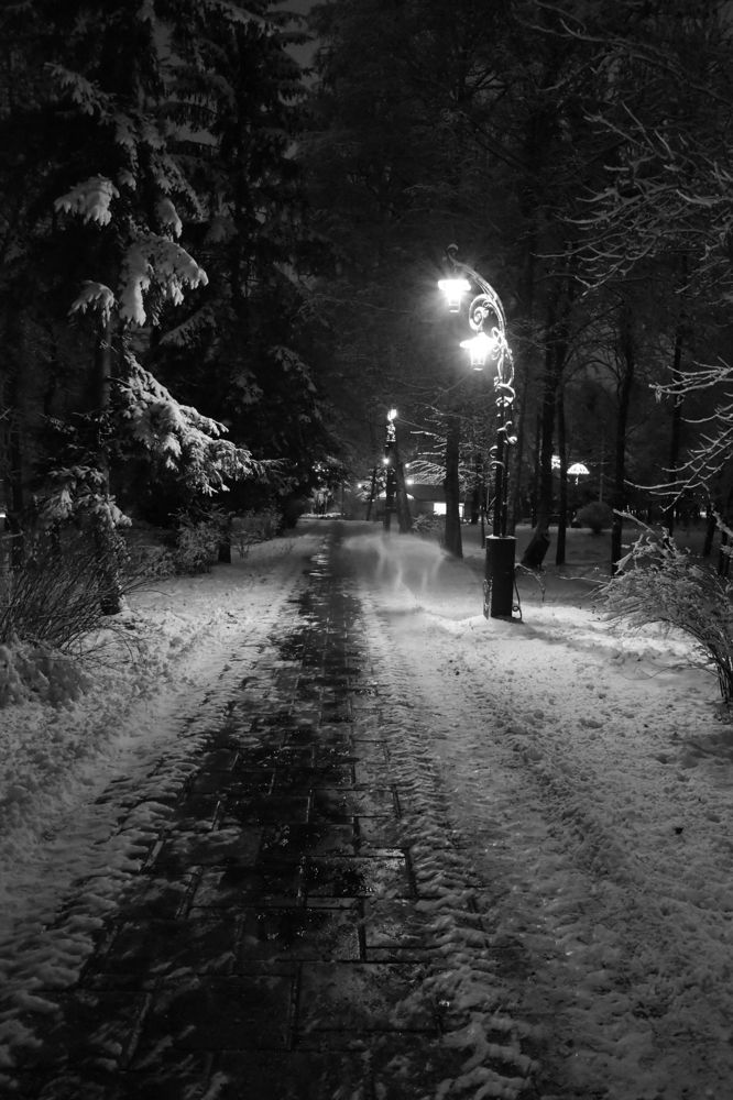 Photograph by Олена Лукашевич