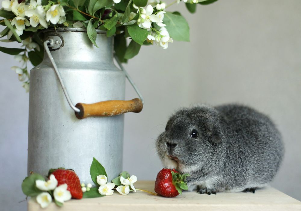 Photograph by Екатерина Терновая