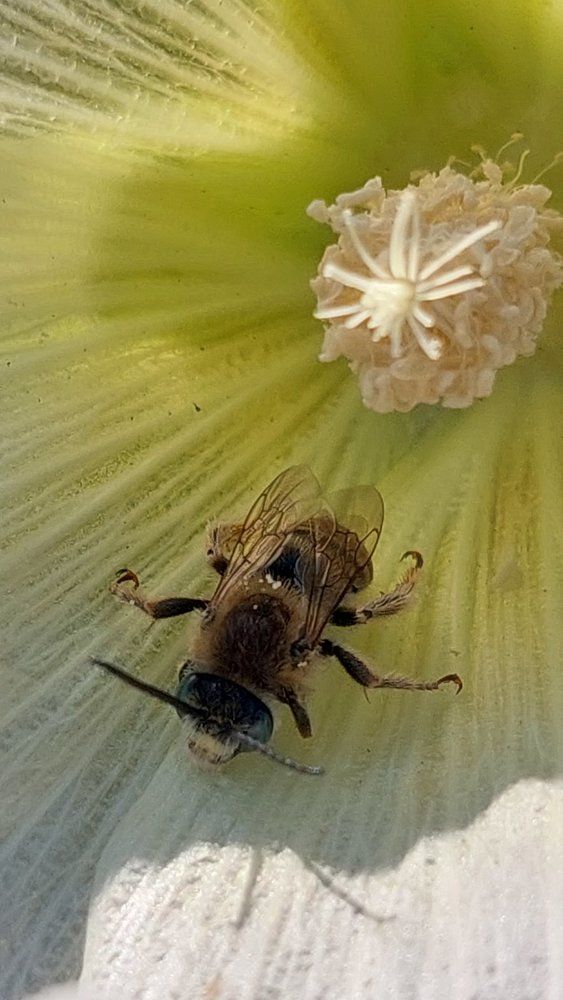 Photograph by Svitlana Usatenko