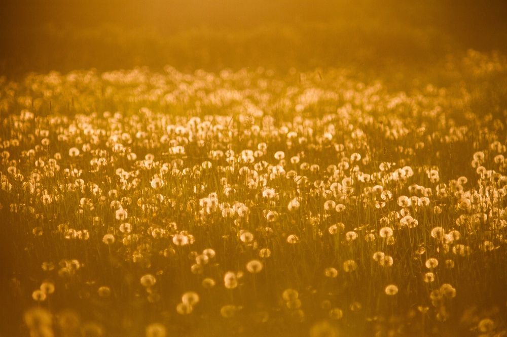 Photograph by Юрий Киреев