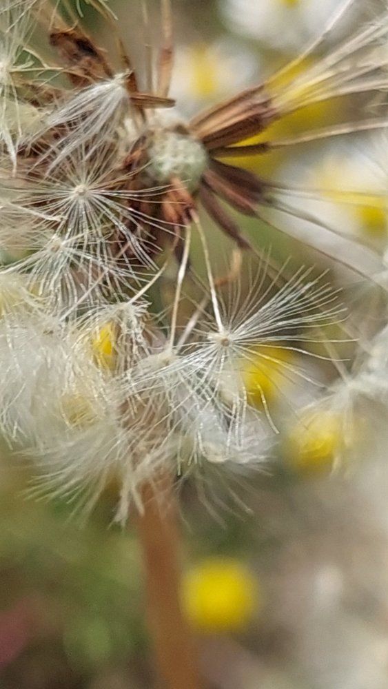 Photograph by Svitlana Usatenko