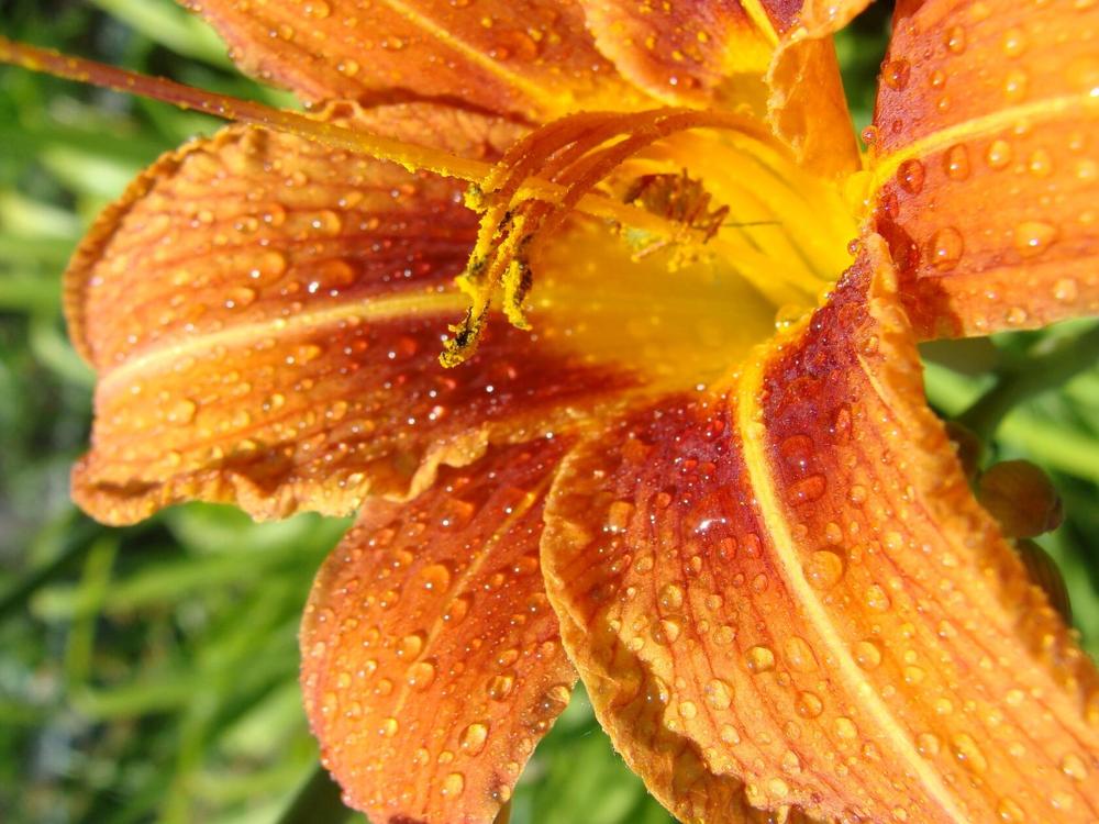 Фотография автора Павел Попов