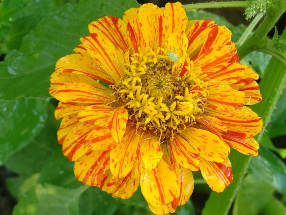 Фотография автора Павел Попов