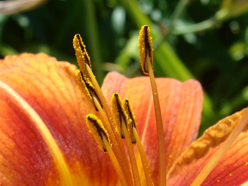 Фотография автора Павел Попов