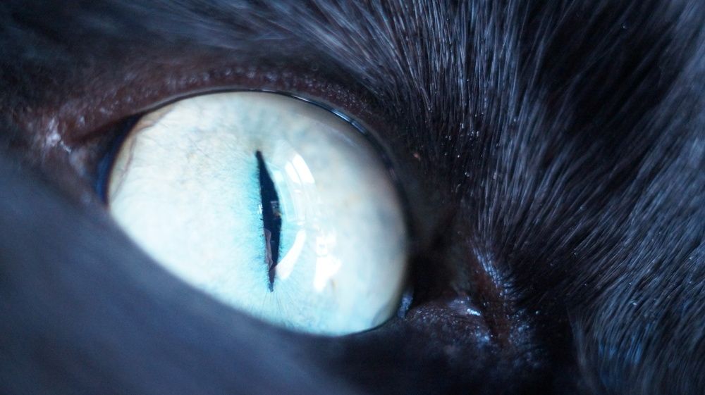 Photograph by Лиза Малыгина