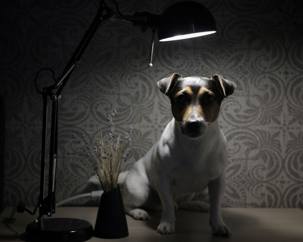 Фотография автора Ирина Мосько