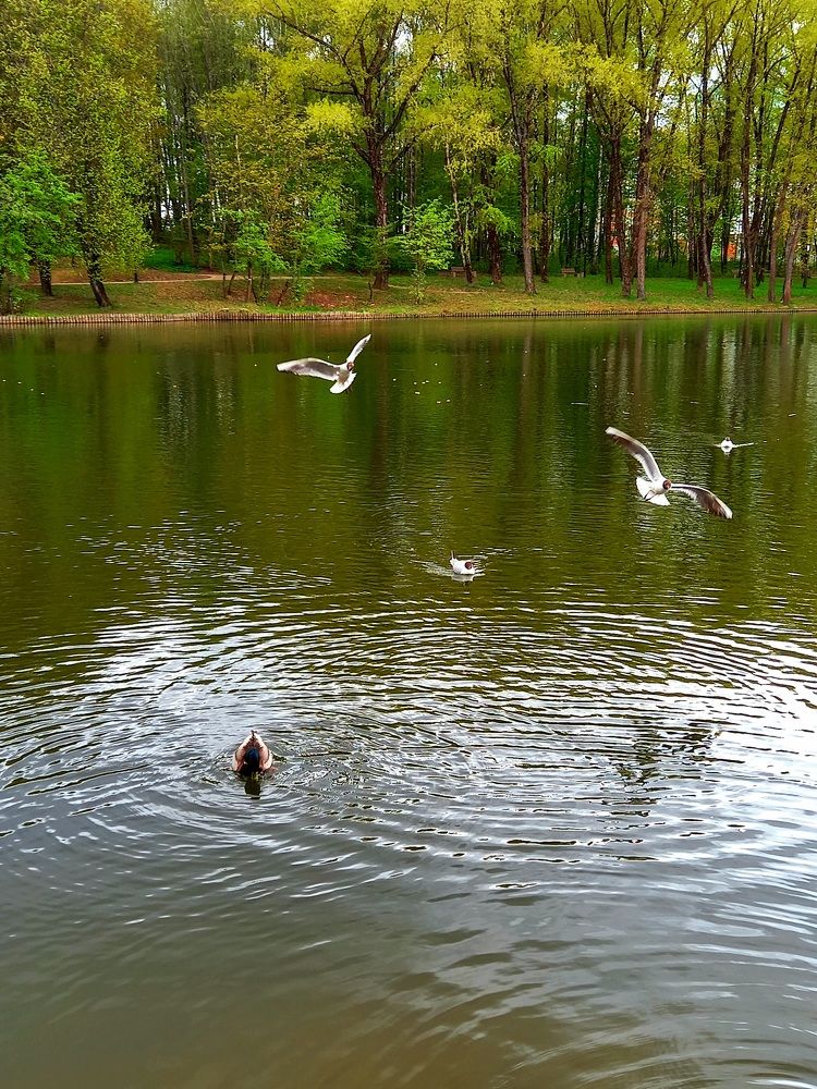 Photograph by Ольга Юрченко