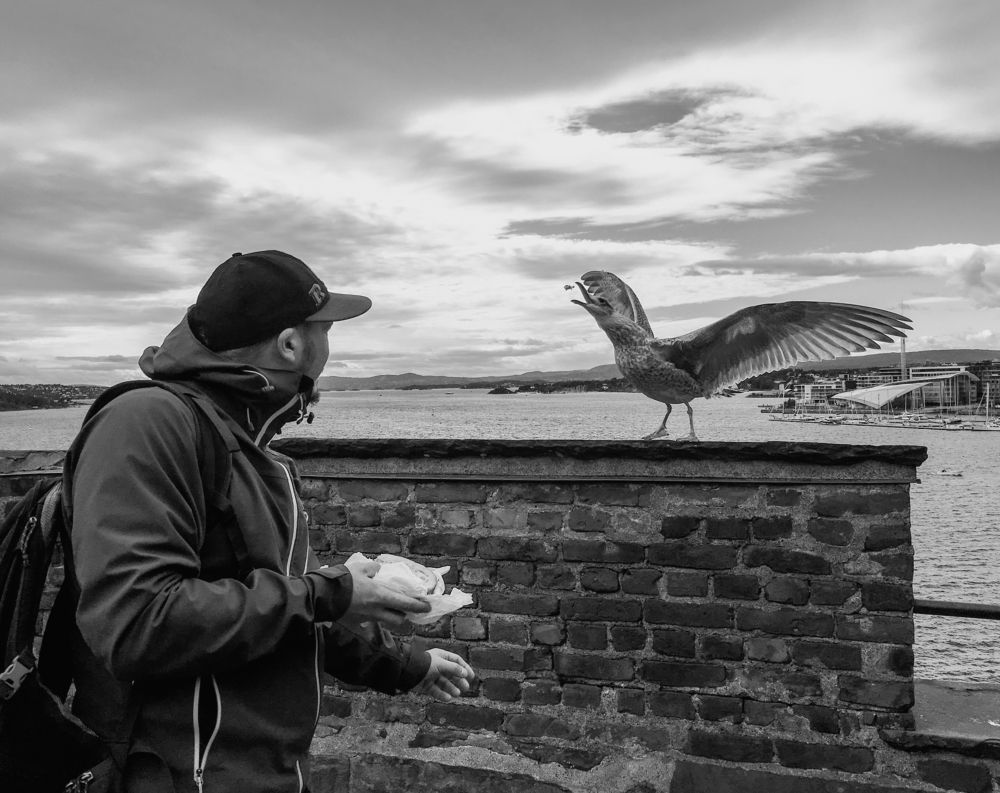 Photograph by Федотова Анна