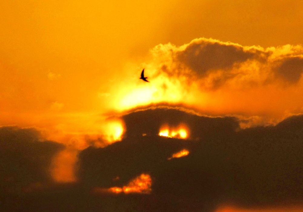 Photograph by Reza Keyvan